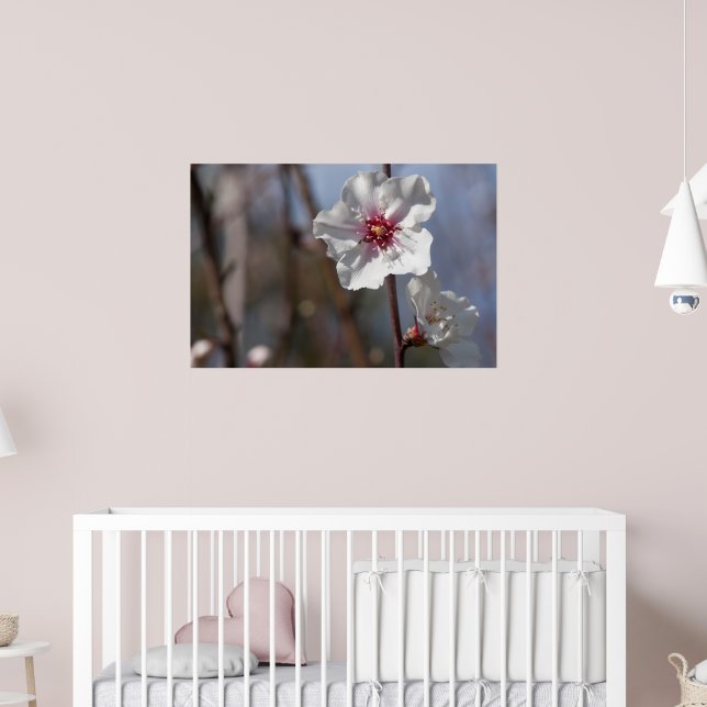 White Almond Flower - Natural Spring Light Elegant Poster (Nursery 2)