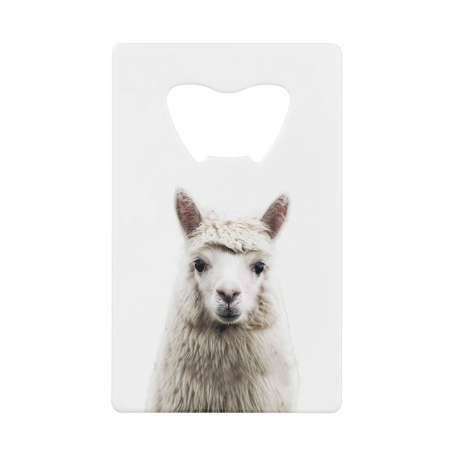 White Alpaca (Front)