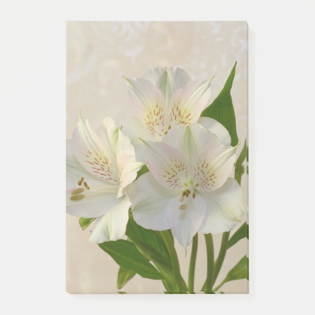 White Alstomeria Flowers Post-it Notes (Front)