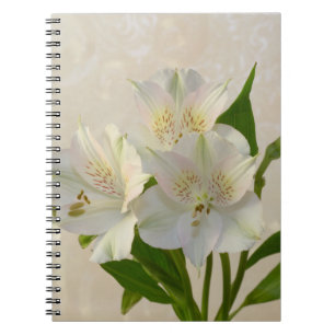 White Alstromeria Flowers Notebook