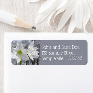 White Amaryllis and Snow I