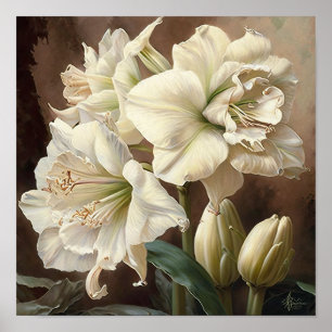 White Amaryllis Flower Art Print Poster