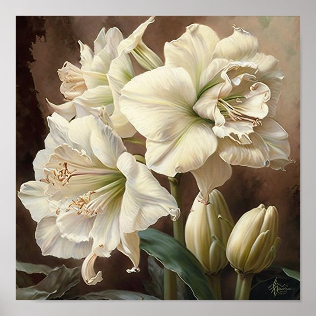 White Amaryllis Flower Art Print Poster (Front)