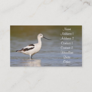 White American Avocet Business Card