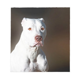 White American Pitbull Terrier Rescue Dog Notepad