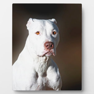 White American Pitbull Terrier Rescue Dog Plaque