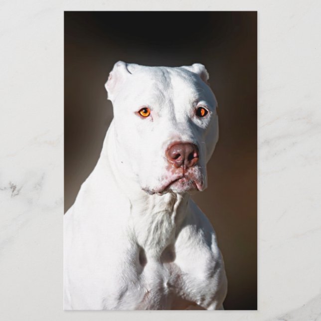 White American Pitbull Terrier Rescue Dog Stationery (Front)