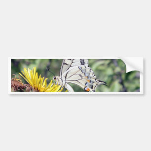 White and Black Butterfly with Red Spots Bumper Sticker