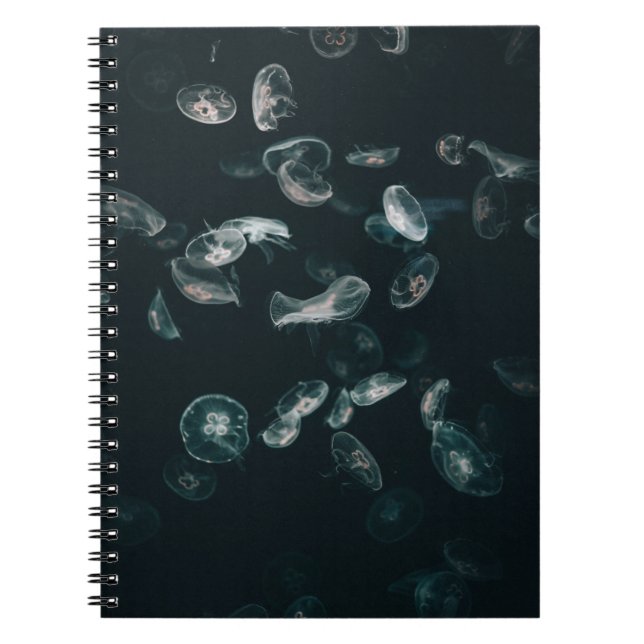 WHITE AND BLACK JELLYFISH ON WATER NOTEBOOK (Front)