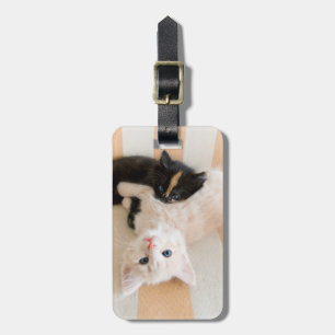 White And Black Kittens Luggage Tag