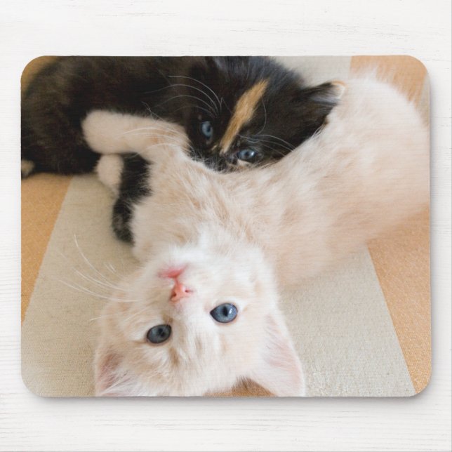White And Black Kittens Mouse Pad (Front)