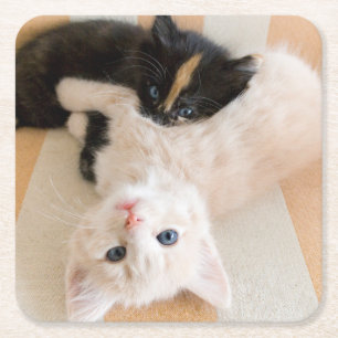 White And Black Kittens Square Paper Coaster