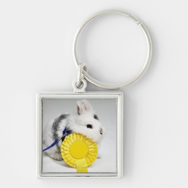 White and black rabbit on blue leash with yellow key ring (Front)
