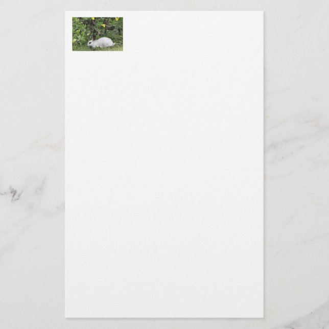 White and Black Rabbit Stationery (Front)