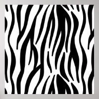 White and Black Zebra Pattern