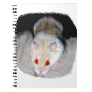 White and blonde albino hamster picture spiral notebook
