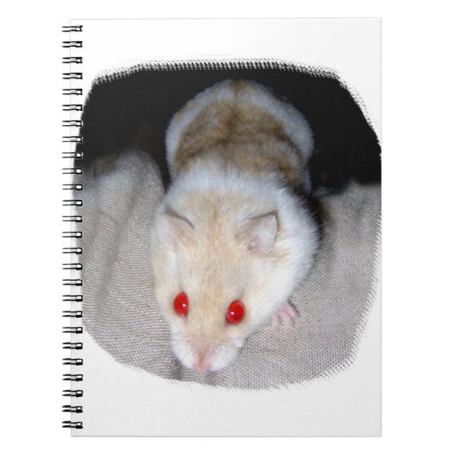 White and blonde albino hamster picture spiral notebook (Front)