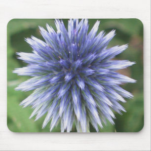 White and Blue Globe Thistle Mousepad