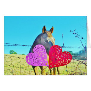 White and Brown horse Valentine Hearts