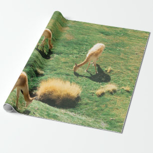 WHITE AND BROWN HORSES ON GREEN GRASS FIELD WRAPPING PAPER