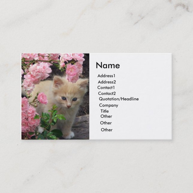 White and Brown Kitten Business Card (Front)
