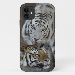 White And Brown Tigers Resting Case-Mate iPhone Case