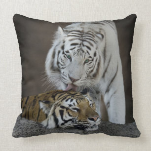 White And Brown Tigers Resting Cushion