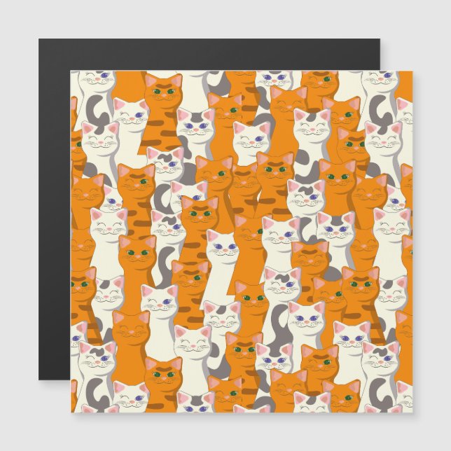 White and ginger cats pattern green eyes blue eyes (Front/Back)
