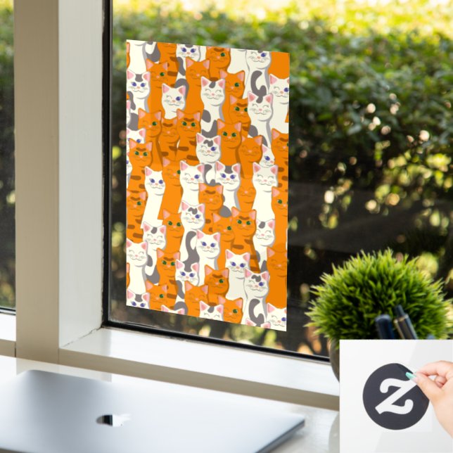 White and ginger cats pattern green eyes blue eyes (Office)
