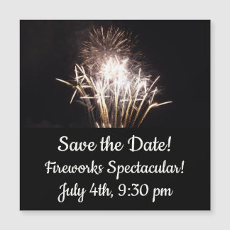 White and Gold Fireworks I Patriotic Celebration