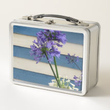 White And Mauve Allium Flowers On Stripes