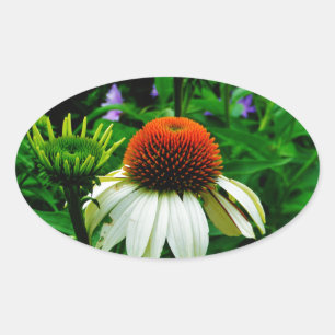 White and Orange ConeFlowers Oval Sticker