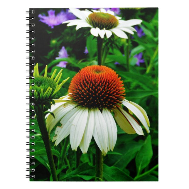 White and Orange ConeFlowers Spiral Notebook (Front)