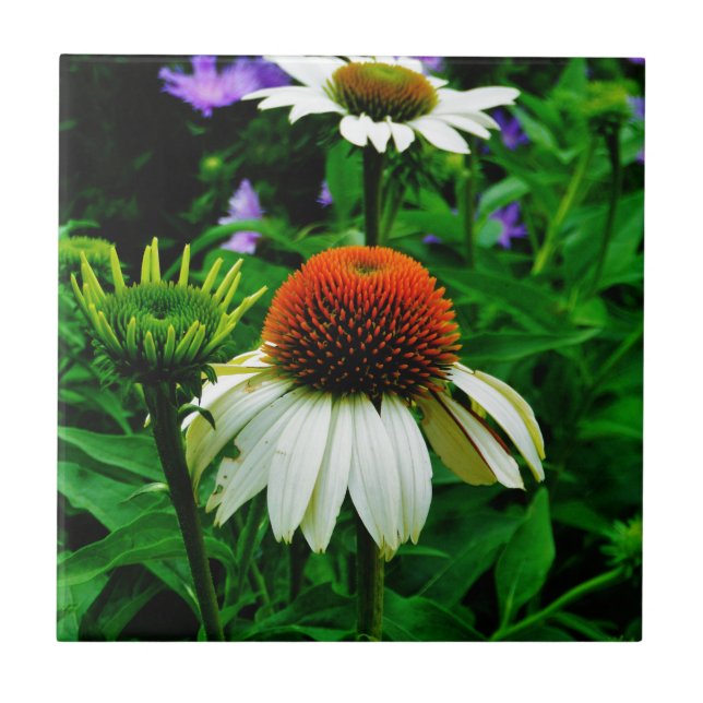White and Orange ConeFlowers Tile (Front)