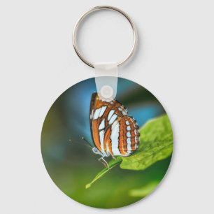 White and Orange Striped Butterfly Key Ring