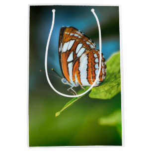 White and Orange Striped Butterfly Medium Gift Bag