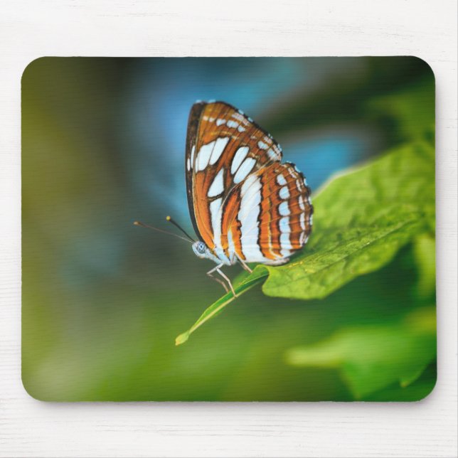 White and Orange Striped Butterfly Mouse Pad (Front)