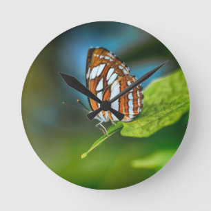 White and Orange Striped Butterfly Round Clock