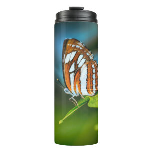 White and Orange Striped Butterfly Thermal Tumbler