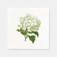 White and Pale Green Antique Hydrangea Flower