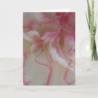 White and Pink Carnation Greeting Card