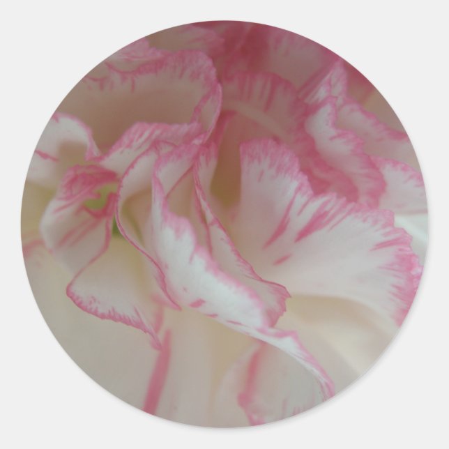 White and Pink Carnation Stickers (Front)