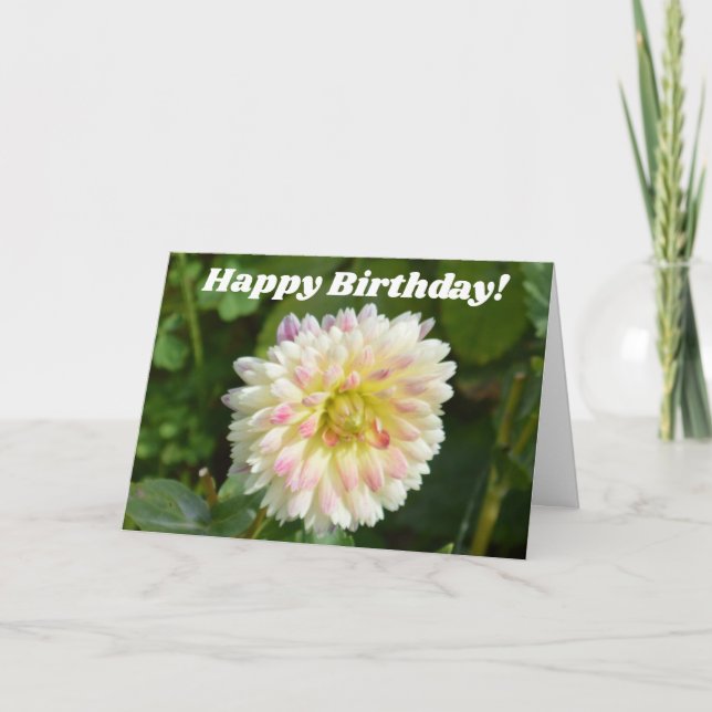 White and pink dahlia on a birthday card (Front)