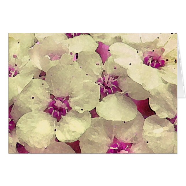 White and Pink Floral (Front Horizontal)