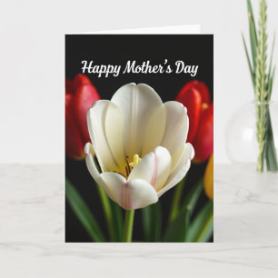 White And Pink Flower Card