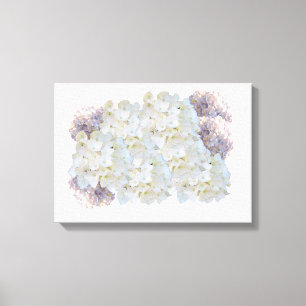 White and Pink Hydrangeas Canvas Print