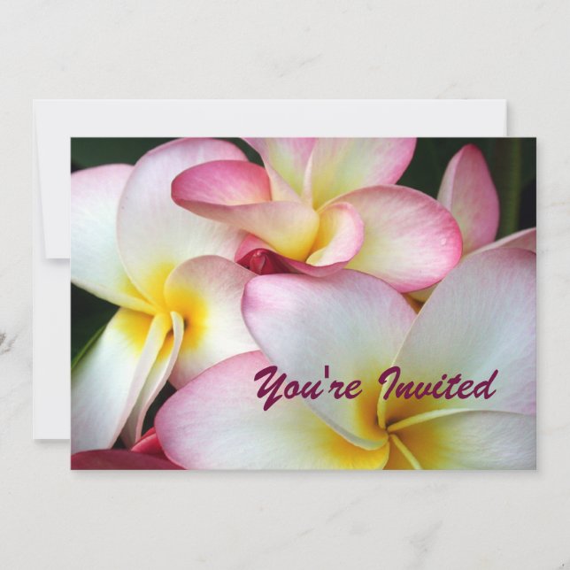 White and Pink Plumeria Invitation (Front)