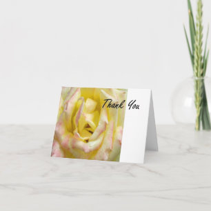 White and Pink Rose Thank You card