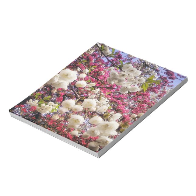 White and pink spring blossom in Wales Notepad (Rotated)