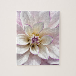 White and purple dahlia flower jigsaw puzzle